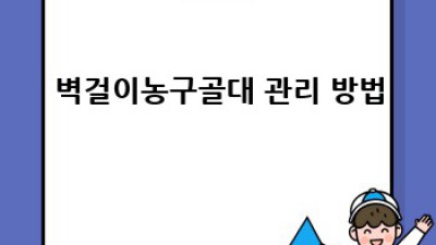 집에서 농구 코트! 완벽한 벽걸이농구골대 선택 & 설치 가이드