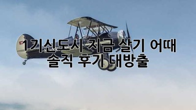 🏘️ 1기신도시, 지금 살기 어때? 솔직 후기 대방출!