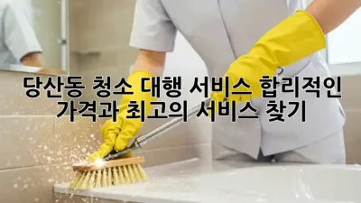 당산동 청소 대행 서비스: 합리적인 가격과 최고의 서비스 찾기!